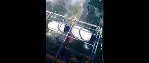 Das rote Maul ist im Käfig zu sehen.