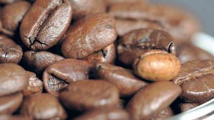 Auf die Bohne kommt es an. Zu Master Blenders gehört neben Senseo auch die Kaffee-Marke Douwe Egberts. Foto: p-a/dpa