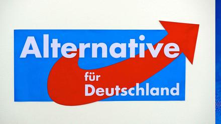 Außer Kritik am Euro finden sich so gut wie keine Themen im Wahlprogramm der neuen Partei "Alternative für Deutschland".