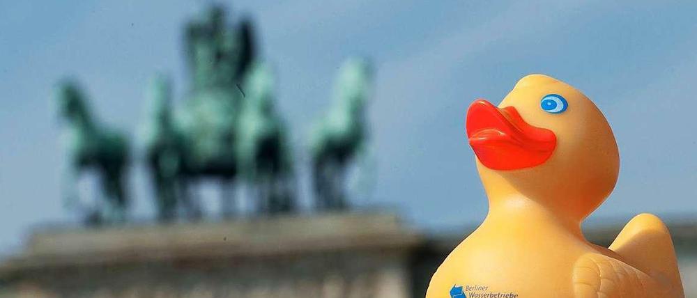 Die Piraten erklären den Berliner Wasserbetrieben den Kampf: Nachdem sich Grüne und Linke zurückzogen, wollen die Piraten nun allein gegen die umstrittene Teilprivatisierung der Berliner Wasserbetriebe klagen.