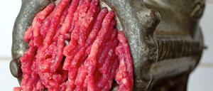 Was ist drin im Hack - Pferd oder Rind?