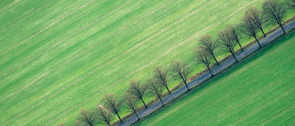 Im Berliner Umland gibt es genügend Platz, nur die Verbindung lässt zu wünschen übrig.