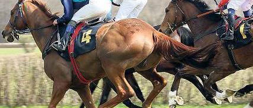 Sie galoppieren wieder. Auf der Rennbahn Hoppegarten wurde am Sonntag der an Ostern ausgefallene Saisonstart nachgeholt. Foto: dpa