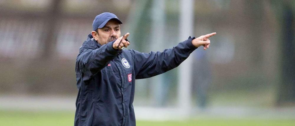 Überraschungsmann. Am Sonntag kann Luhukays Hertha der Aufstieg gelingen.