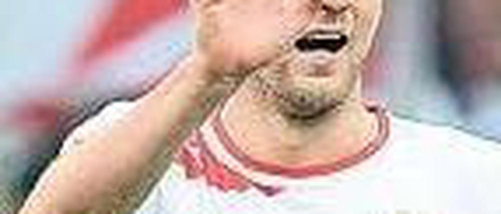 Auftrag erfüllt. Auch Vedad Ibisevic traf beim Stuttgarter Sieg. Foto: dpa