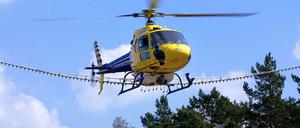 Mit Hubschraubern geht die Polizei gegen die Raupen des Eichenprozessionsspinners vor. Sie sind mit Insektengift beladen.