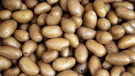 Die Kartoffel soll in die Hände von Betrügern geraten sein.