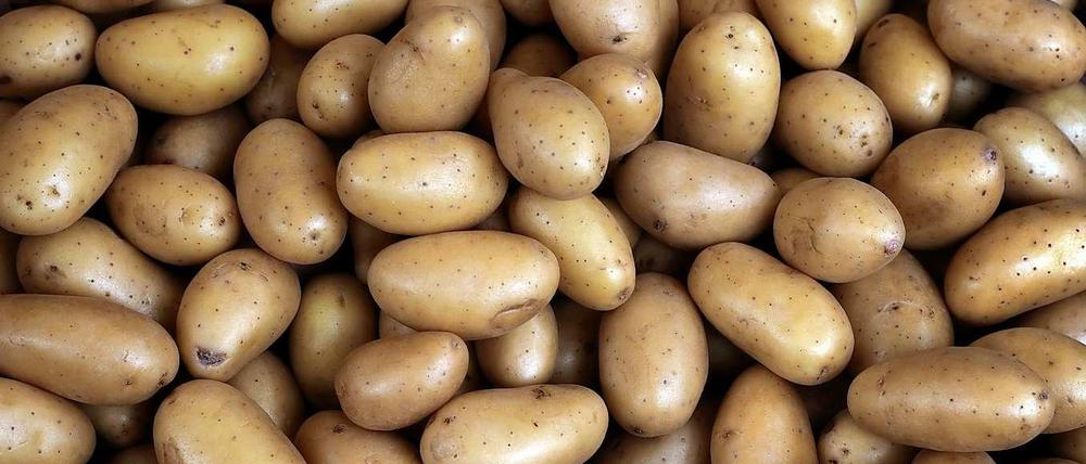 Die Kartoffel soll in die Hände von Betrügern geraten sein.