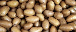 Die Kartoffel soll in die Hände von Betrügern geraten sein.
