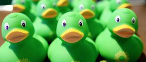 In der Wählergunst gesunken: die Grünen.