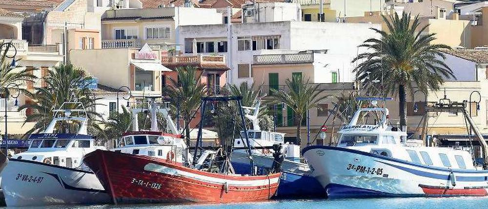 Wenn das Geld nicht reicht. Die Hilfsorganisation Zaqueo zählt immer mehr Kunden in ihrer Armenküche auf Mallorca. Die Arbeitslosigkeit liegt bei 28 Prozent. 