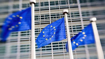 Europa hat nicht viel mehr Gemeinsamkeit als das gemeinsame Geld, nicht die eine Sprache oder Kultur