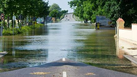 Eine Straße ins Nirgendwo - am Montag trifft es Fischbeck in der Hochwasserkrise Sachsen-Anhalts am schlimmsten. 