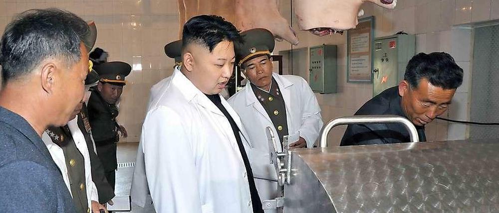 Nordkoreas Diktator Kim inspiziert eine Schweineverarbeitung. 