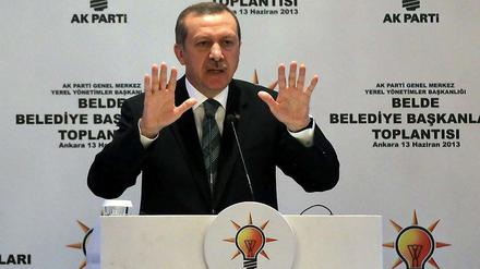 Der türkische Regierungschef Erdogan bietet den Demonstranten im Gezi-Park ein Referendum an.