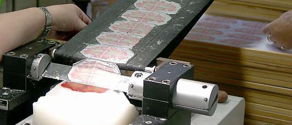 Scheibchenweise. Die Forscher schnitten ein in Paraffinwachs konserviertes Gehirn in mehr als 7400 haarfeine Scheiben und färbten die Nervenzellen an. Daraus rekonstruierten sie ein 3D-Modell des Gehirns.