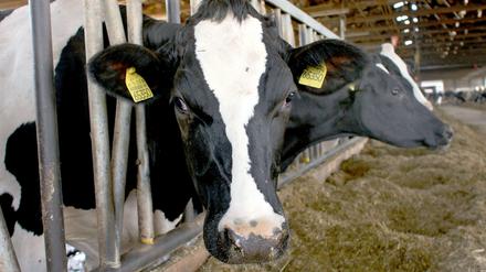 Die EU-Staaten haben sich offenbar auf die Agrarreform verständigt, jetzt muss noch das Parlament zustimmen.