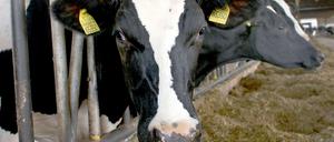 Die EU-Staaten haben sich offenbar auf die Agrarreform verständigt, jetzt muss noch das Parlament zustimmen.
