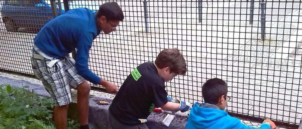 Im Einsatz für die Kita: Die drei jungen Helfer Justus, Jonas und Jakub reparierten zusammen mit unserem Autor den Zaun und pflegten den Garten.