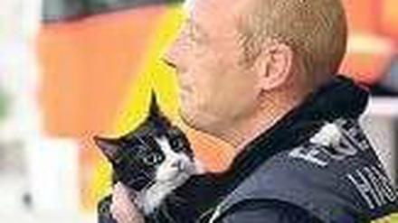 Sicher im Trockenen. Die Feuerwehr rückt auch für Tiere aus. Foto: dpa
