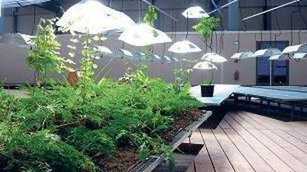 Der Garten der Garten der Diaspora wächst noch. Drei Jahre soll es dauern, bis er ganz fertig ist.