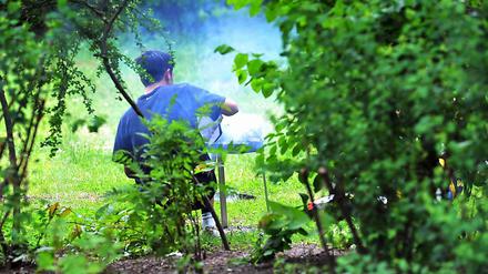 Im Monbijoupark ist das Grillen vielleicht bald verboten