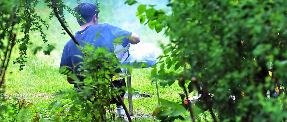 Im Monbijoupark ist das Grillen vielleicht bald verboten
