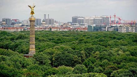 Beliebt: Die Hauptstadt. 