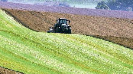 ne Welle. Fünf Prozent der Ackerfläche sollen künftig der Natur überlassen werden. 