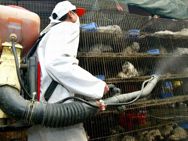 Ein Arbeiter desinfiziert auf einem Wildtiermarkt in Wuhan Käfige. (Archivbild von 2004)