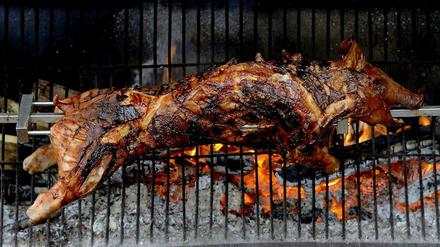 Ein Spanferkel dreht sich auf einem Holzkohlegrill. Das Grillgut hängt dabei an einem Spieß, die Kohlen liegen hinter mit einem Gitter. 