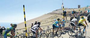 Kahle Schönheit: Der Mont Ventoux verführt mit eigenen Reizen (hier die Tour de France 2007). Über den Ausblick von oben schrieb schon Petrarca.