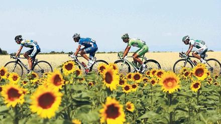 Trügerische Idylle. Bei der Tour de France sind manche Etappen aufgrund des Windes in diesem Jahr wieder richtig interessant.