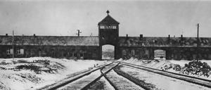 Mit einem solchen Motiv des Konzentrationslagers Auschwitz-Birkenau wirbt das Simon-Wiesenthal-Zentrum auf seinem neuen Plakat zur Operation Last Chance.