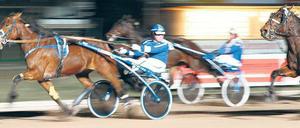 Rennstrecke mit Tradition. Seit April 1913 finden in Mariendorf Trabrennen statt.