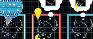 Gedächtnisexperiment. Beim Erkunden des blauen Käfigs A waren nur bestimmte Gedächtniszellen aktiv (weiß). Die Forscher versahen sie mit einem Schalter. Anschließend setzten sie die Mäuse in den roten Käfig B, schalteten die markierten Zellen mit Licht an und verpassten ihnen einen Elektroschock. Dabei wurden Erinnerung und Erlebnis verknüpft. Die Tiere ängstigten sich dann auch im blauen Käfig.