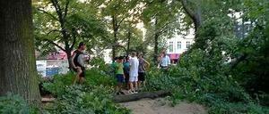 Der meterlange Ast liegt auf dem Gehweg.