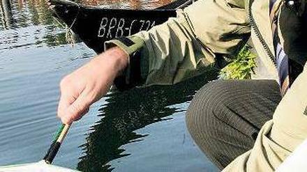 Das Fischen klappt bereits. Jetzt muss Dietmar Woidkle nur noch die Brandenburger für sich einfangen. Foto: dpa/Nestor Bachmann