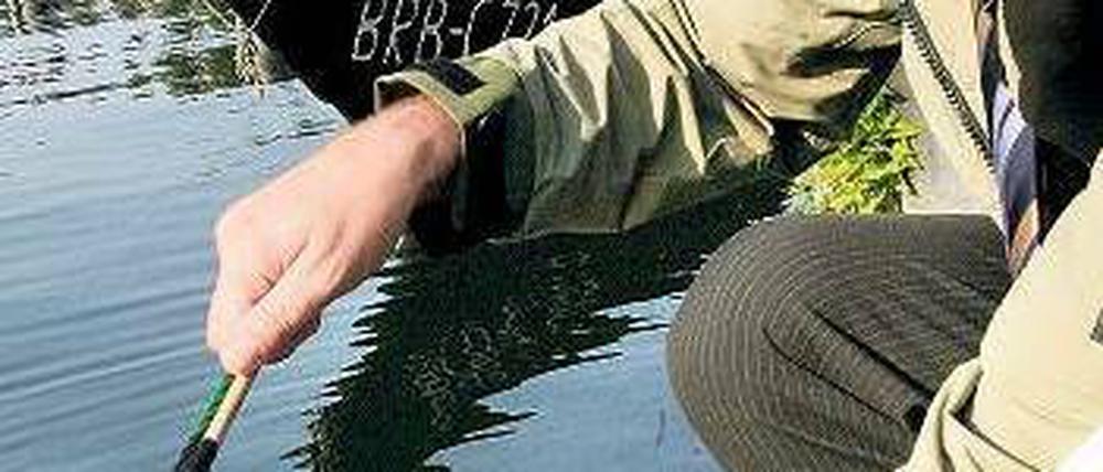 Das Fischen klappt bereits. Jetzt muss Dietmar Woidkle nur noch die Brandenburger für sich einfangen. Foto: dpa/Nestor Bachmann