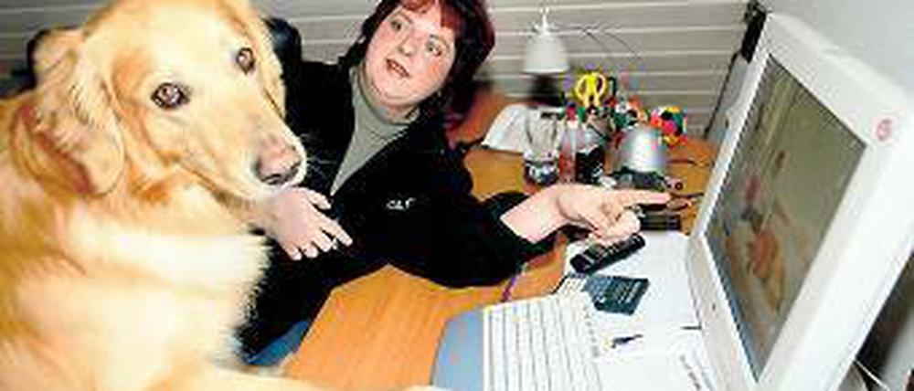 Armer Hund. Ein „Mehr Berlin“-Redakteur wird von der Ressortleiterin aufgefordert, etwas zu schreiben (Abb. ähnl.). Foto: dpa