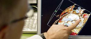 "Wir bieten eine neue Ressource für die künftige Erschaffung von Herzgewebe", sagte der Studienleiter Lei Yang.