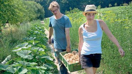 Essen is’ gleich fertig. Christian Heymann und eine Erntehelferinnen schleppen das Gemüse vom Feld an der Havel.Foto: Christian Mang