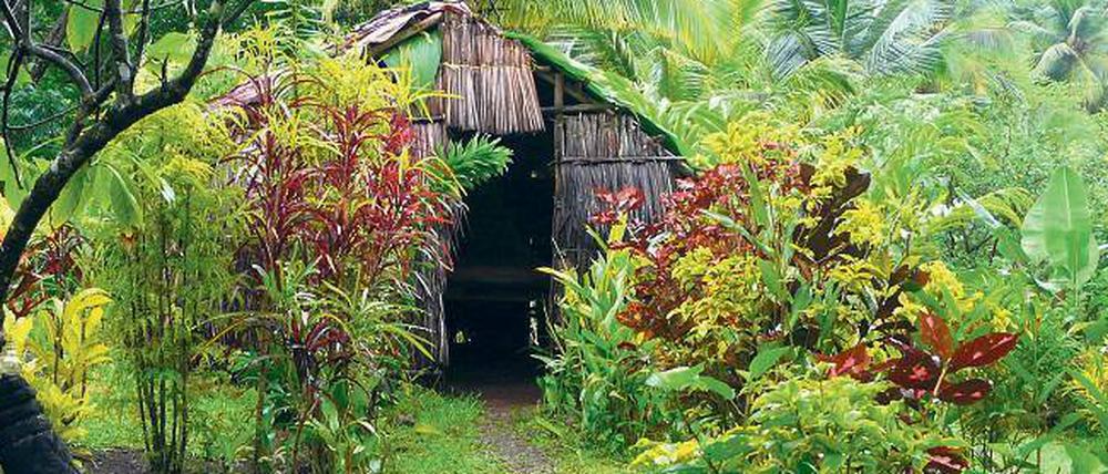 Als rustikal darf die Gästehütte im „Kalingo-Stil“ schon bezeichnet werden. Allerdings ist die Unterkunft bei den Insel-Kariben auf Dominica auch authentisch.