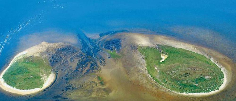 Nur ein Vogelwart lebt hier. Die Insel Scharhörn (rechts) in der Elbmündung, Schauplatz von Timms Roman. Links Nigehörn.