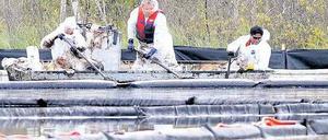 Ein Meer aus zähem Öl. So sieht es aus, wenn die Ölsandförderung schiefgeht. An der Primrose-Förderstelle in Kanada tritt die zähe Bitumenmasse aus. Foto: Reuters