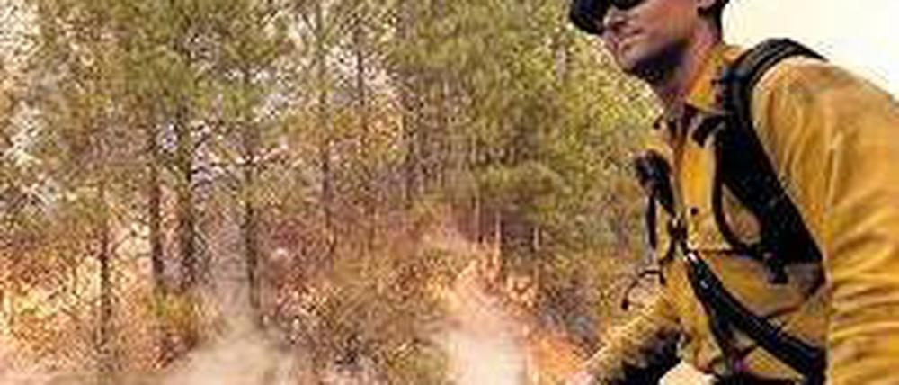 Inferno. Ein Feuerwehrmann in der Nähe des Yosemite Nationalparks. Foto: dpa