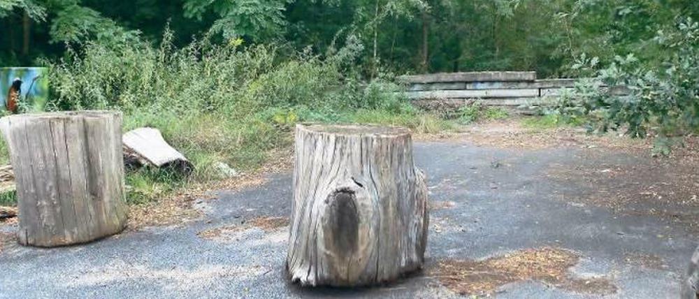 Auf dieser Brache am äußersten Rand von Potsdam soll nach derzeitigem Stand die Containerunterkunft für etwa 100 Flüchtlinge aufgestellt werden - wenn die Stadt nichts besseres findet. Rundherum gibt es fast nichts.