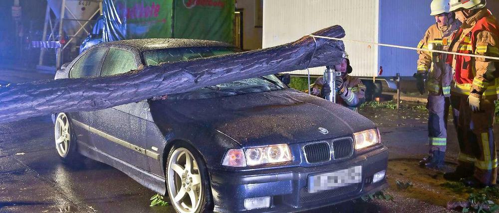 Baum fällt auf fahrendes Auto in Berlin-Neukölln. Kein Einzelfall in Berlin.