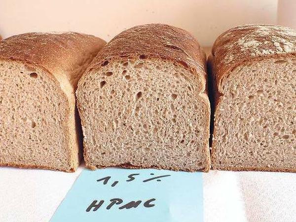 Feuchtbrote der TU Berlin