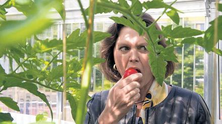 Rot-Grün. Auch Landwirtschaftsministerin Ilse Aigner (CSU) hat sich schon davon überzeugt, dass die ECF-Idee Früchte trägt.